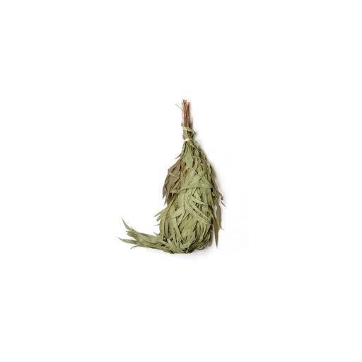 Broom (eucalyptus)