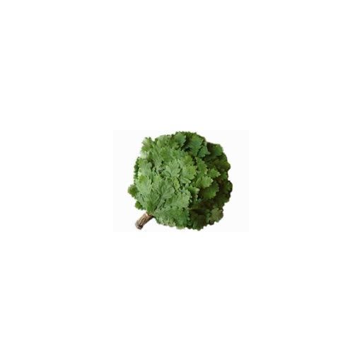 Broom (oak)